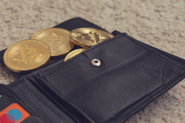 Understanding Crypto Wallets: How to Safeguard Your Digital Assets Understanding Crypto Wallets: How to Safeguard Your Digital Assets / indiainvesthub.in