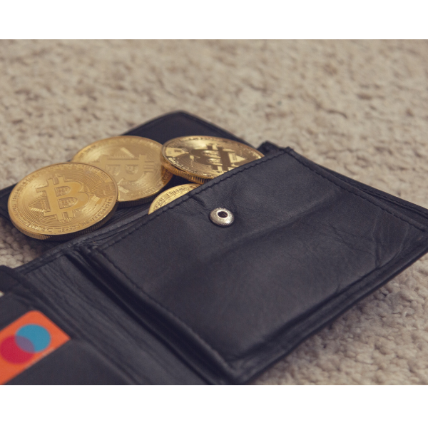 Understanding Crypto Wallets: How to Safeguard Your Digital Assets / indiainvesthub.in