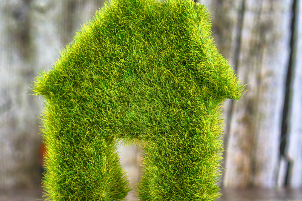 Green Building Trends in India: Sustainable Real Estate Development / indiainvesthub.in