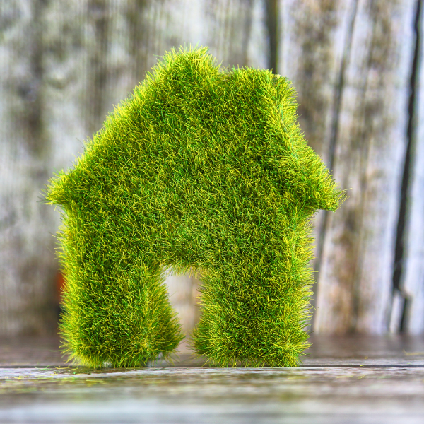 Green Building Trends in India: Sustainable Real Estate Development / indiainvesthub.in
