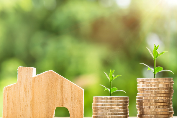 Investing in Indian Real Estate: A Guide for NRIs / indiainvesthub.in