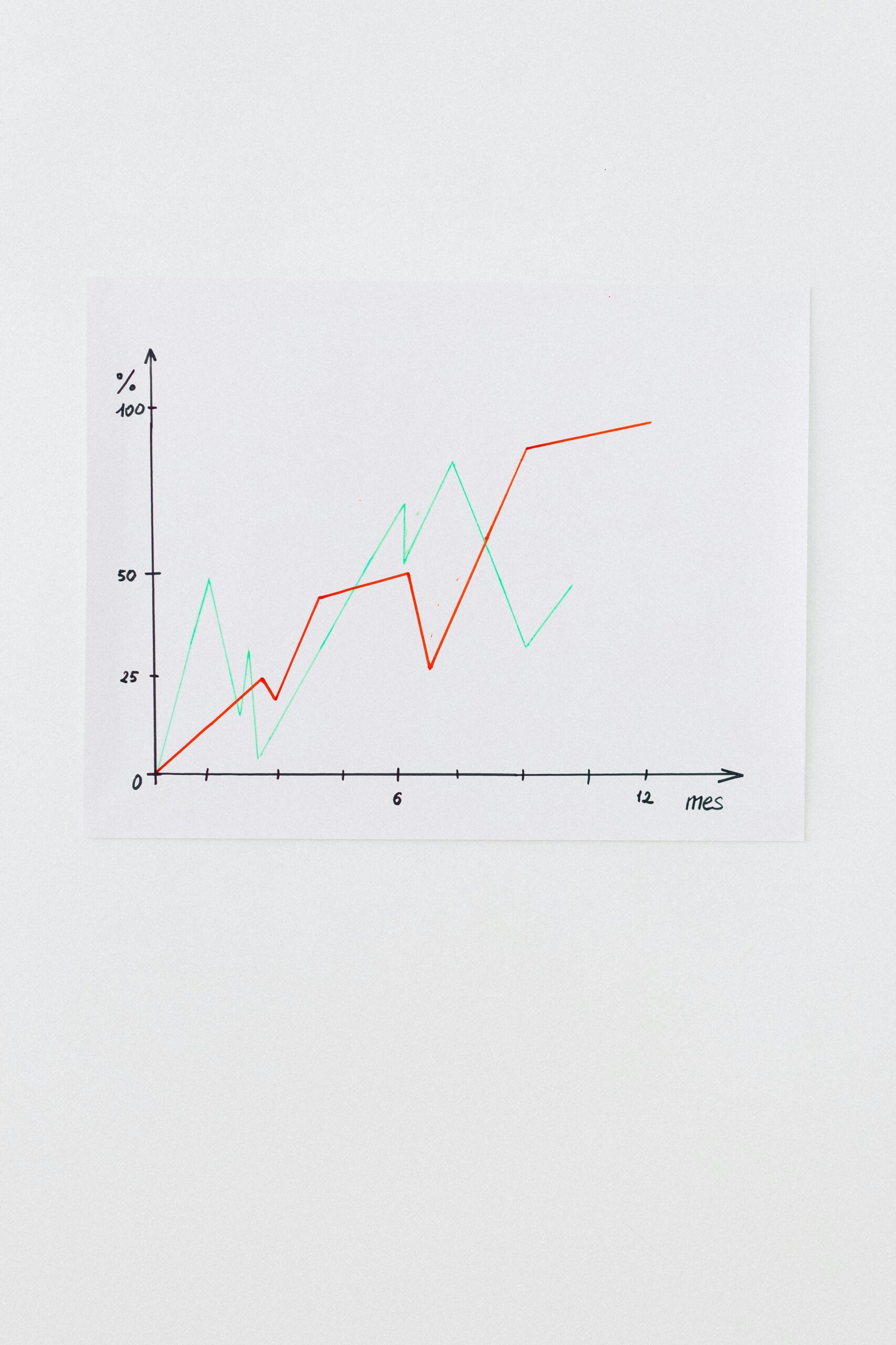 Options as a Shield: How to Protect Your Stock Investments Through Hedging / indiainvesthub.in