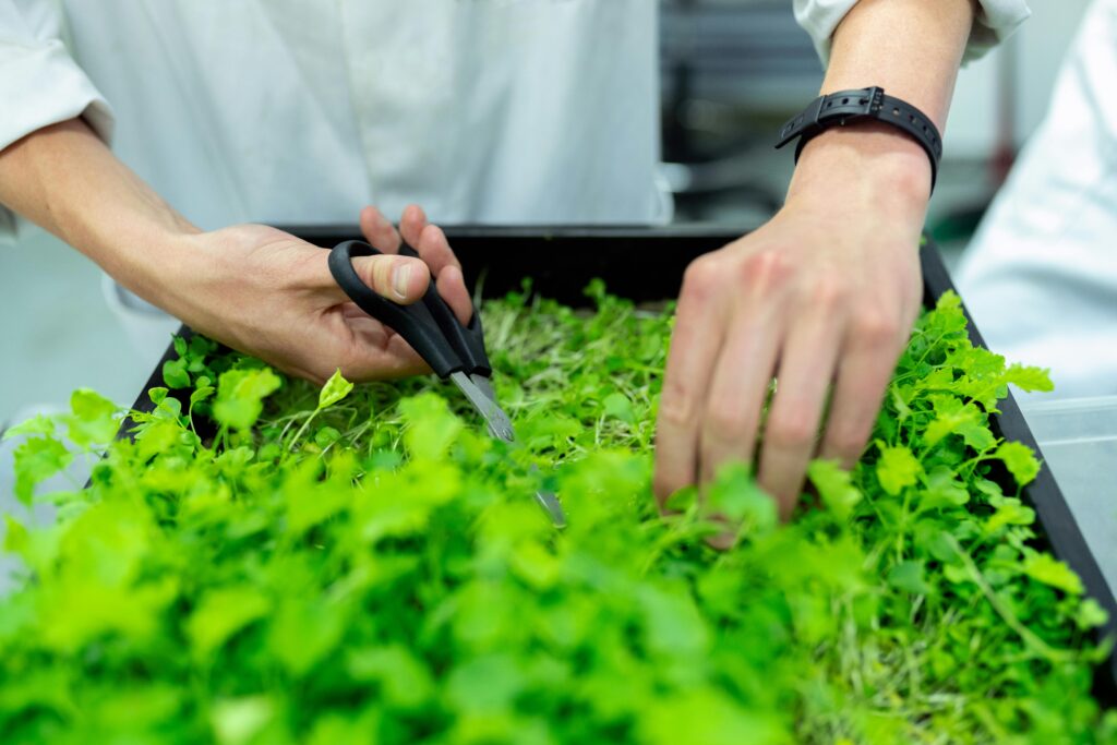What Do Banks Look for in Agriculture Loan Applicants? What Do Banks Look for in Agriculture Loan Applicants?