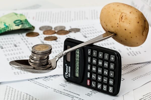 Budgeting for Inflation: Tips to Maintain Your Spending Power / indiainvesthub.in
