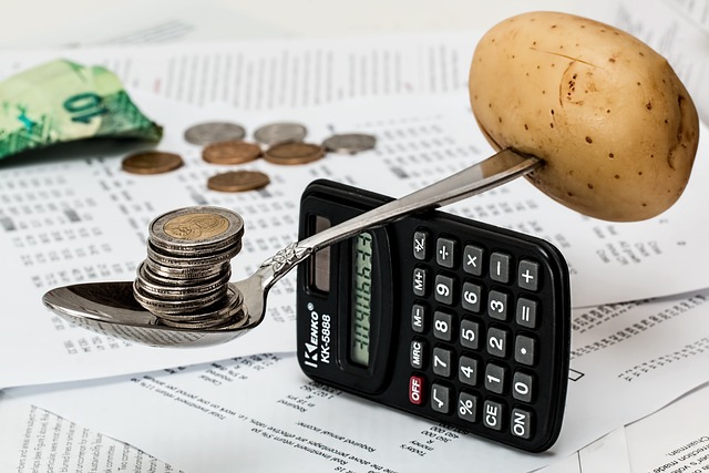 Budgeting for Inflation: Tips to Maintain Your Spending Power / indiainvesthub.in
