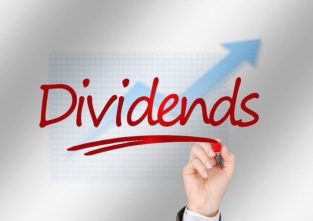 Finding Safe High-Yield Stocks: Balancing Dividend Yield with Risk / indiainvesthub.in