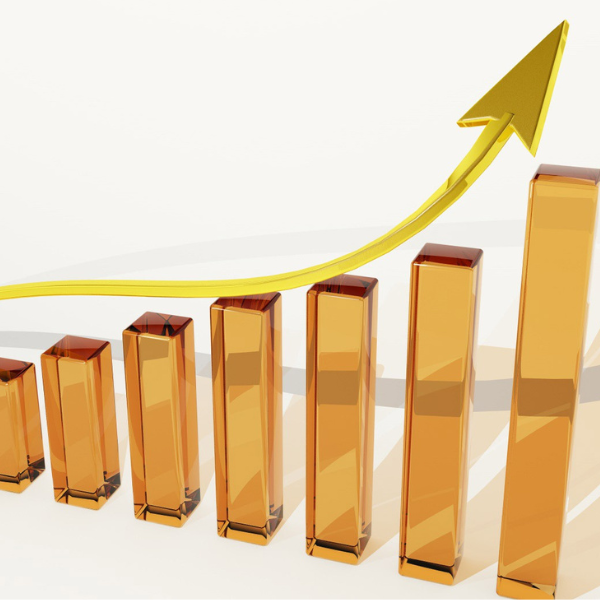 Understanding Stock Buybacks: How They Impact Your Portfolio