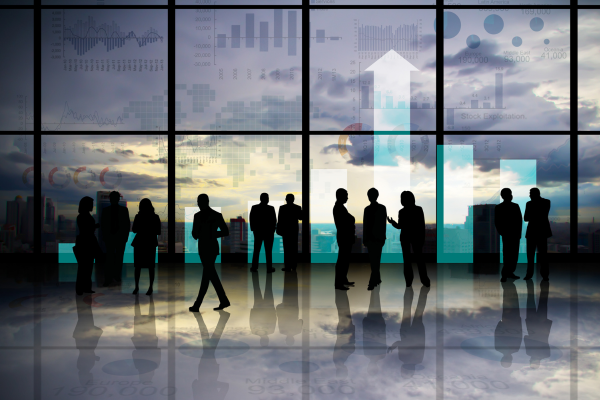 How Foreign Institutional Investors Influence Stock Market Volatility