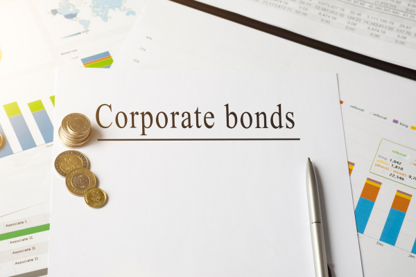 Corporate Bonds vs. Government Bonds: Which Should You Choose?