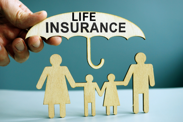 How to Choose the Right Term Insurance Plan / indiainvesthub.in
