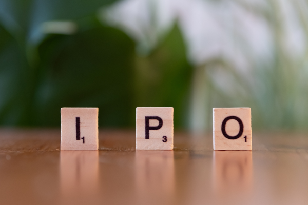 How to Earn Money from IPO Investments in 2025 – Step-by-Step Guide