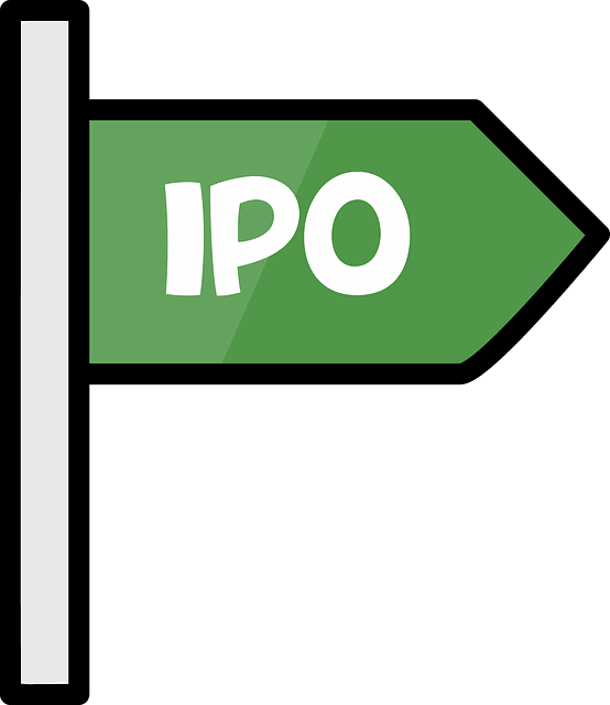 How to Earn Money from IPO Investments in 2025 – Step-by-Step Guide