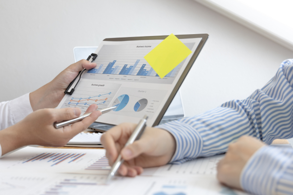 Why DIIs Are Increasingly Important for the Indian Stock Market